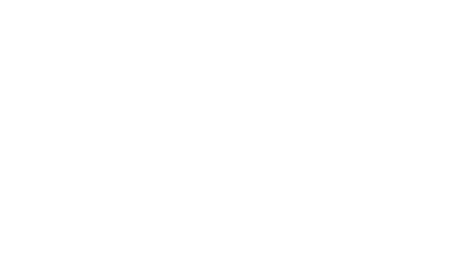 logo DNV